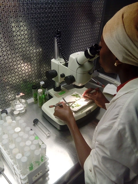 Biotechnology laboratory